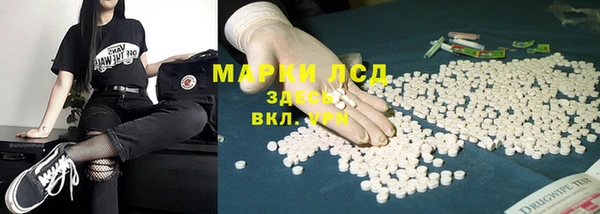 стаф Абинск