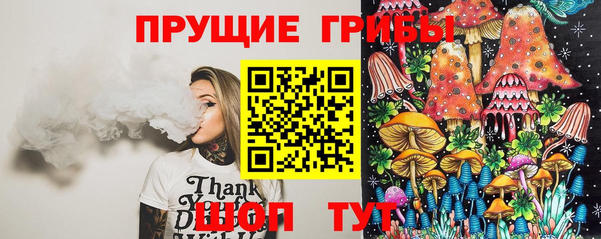 Североморск  где продают   Вход с VPN  Псилоцибиновые грибы Psilocybine cubensis 